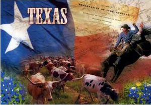 Texas Flag Collage Postcard